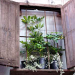 Antigüedades Carroza - Objetos antiguos que lo llevarán a disfrutar y transportarse en el tiempo