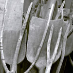 Antigüedades Carroza - Objetos antiguos que lo llevarán a disfrutar y transportarse en el tiempo