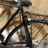 Antigüedades Carroza - Objetos antiguos que lo llevarán a disfrutar y transportarse en el tiempo